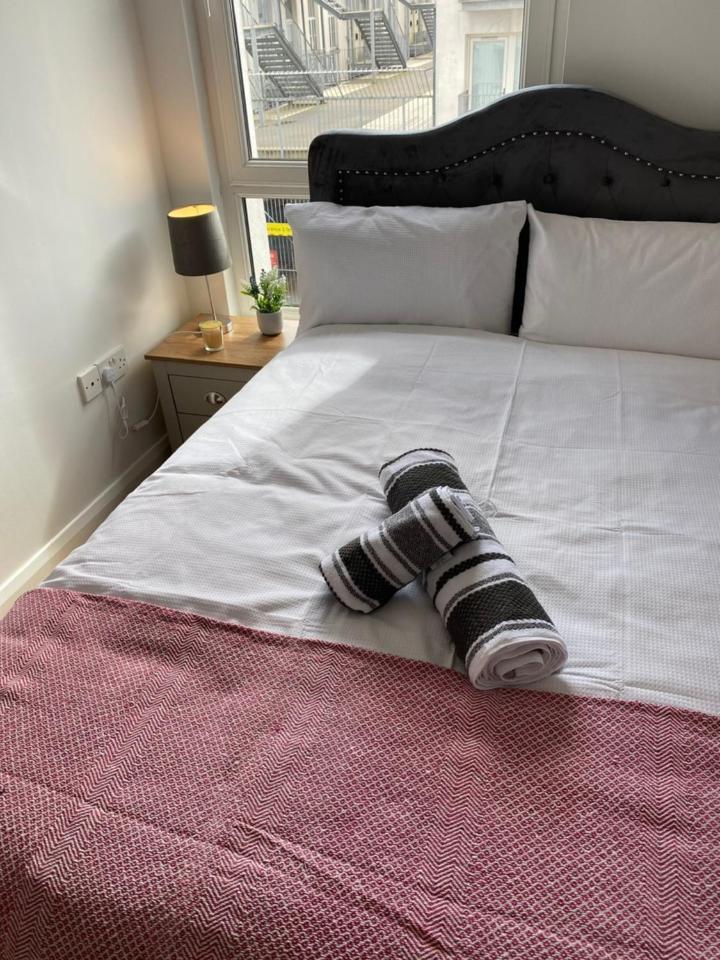 Apartament The Duffy Belfast Zewnętrze zdjęcie