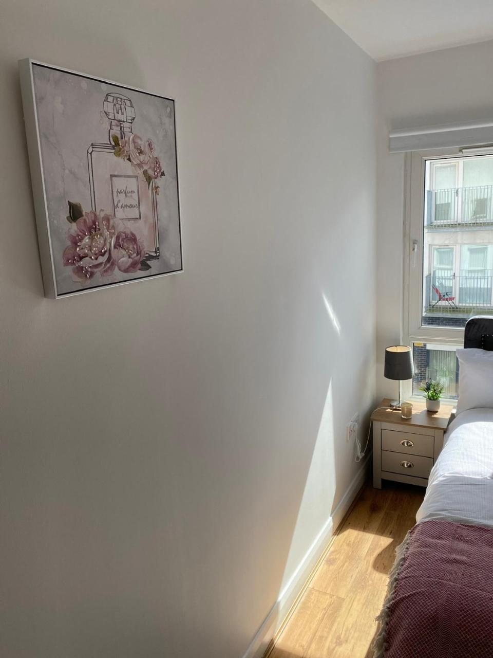 Apartament The Duffy Belfast Zewnętrze zdjęcie