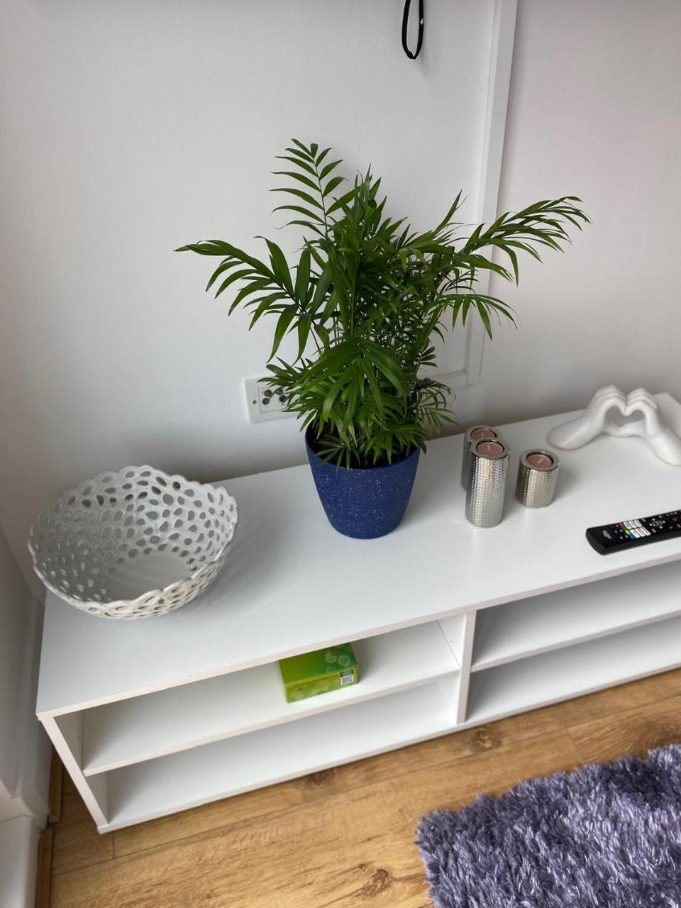 Apartament The Duffy Belfast Zewnętrze zdjęcie