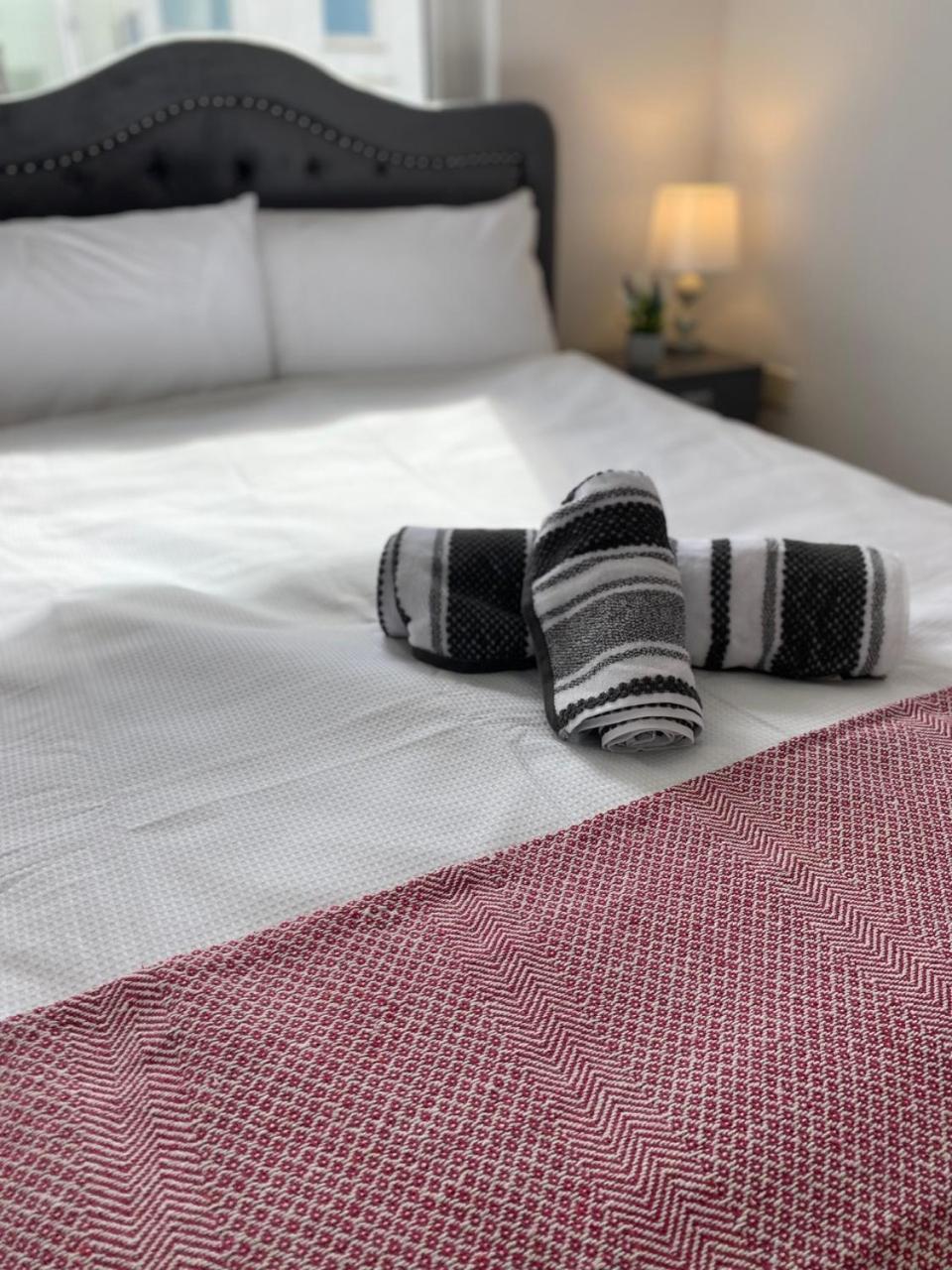 Apartament The Duffy Belfast Zewnętrze zdjęcie